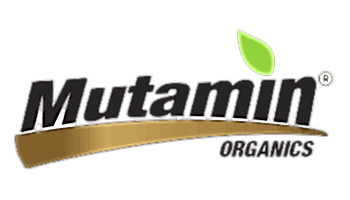 Mutamin